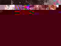 25-jarig huwelijksfeest Van Horn-Van der Waag